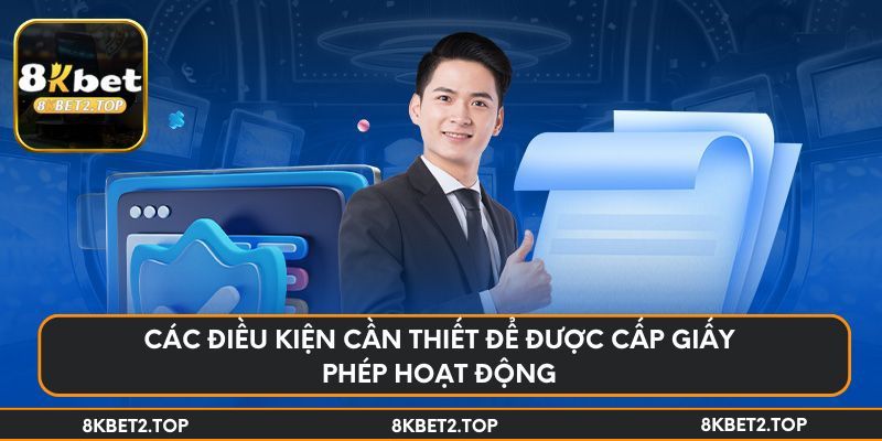 Các điều kiện cần thiết để được cấp giấy phép hoạt động
