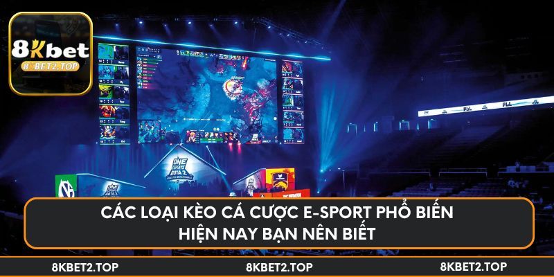 Các loại kèo cá cược E-sport phổ biến hiện nay bạn nên biết