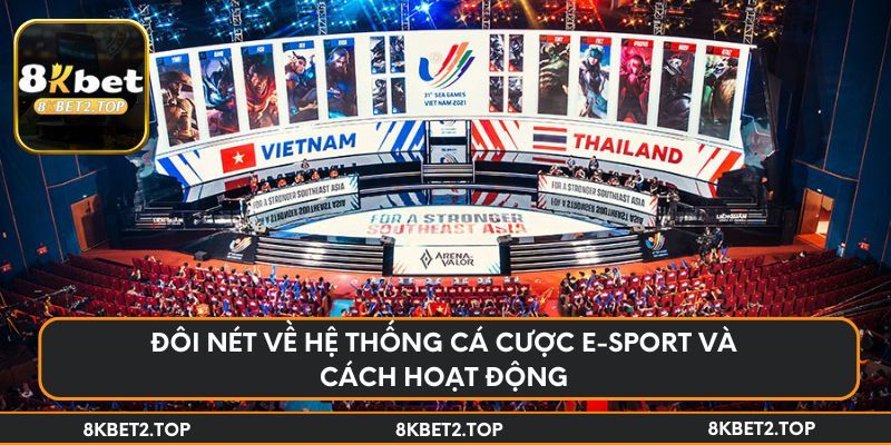 Đôi nét về hệ thống cá cược E-sport và cách hoạt động