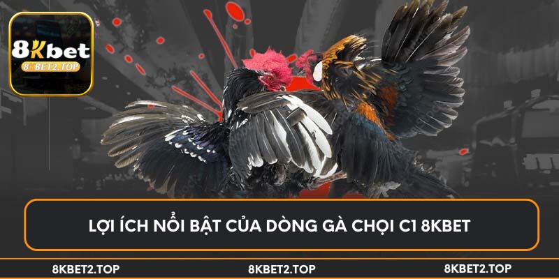 Lợi ích nổi bật của dòng gà chọi C1 8KBet