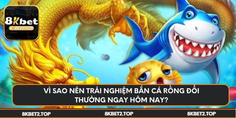 Vì sao nên trải nghiệm bắn cá rồng đổi thưởng ngay hôm nay?